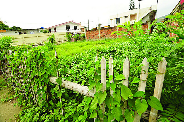 Se da plazo para que se limpien y cerquen los terrenos baldíos