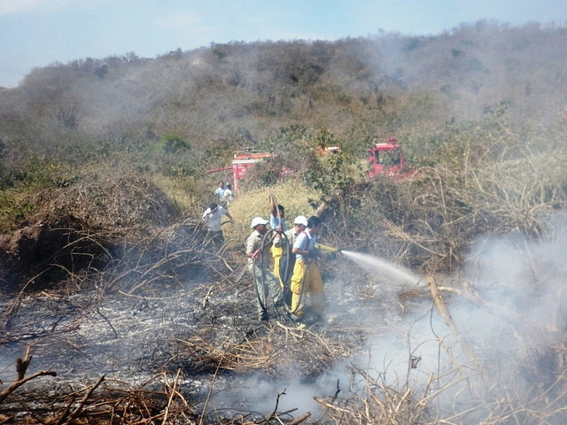 SGR lanza campaña contra Incendios Forestales en Manabí y Santo Domingo