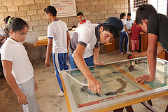 Ciencia y diversión en la Manga del Cura
