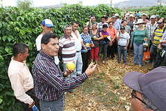 Se realizó día de campo  sobre el macacuyá