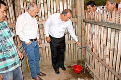 Los Naranjos Dos y La Hidalgo ya tienen suministro del agua