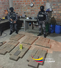 En Portoviejo: Operación Caleta II saca de circulación 433.620 dosis de marihuana