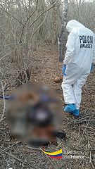 Encuentra osamenta en Montecristi