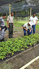GPM y CORFAM preparan campaña de comunicación y sensibilizacion de reforestaciòn.