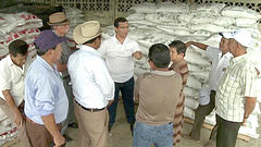 Agricultores de Ecuador se benefician con fertilizantes que se distribuyen en centros agrícolas