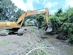 Desazolvan viejo canal para evacuación de aguas
