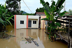 200 viviendas, varias has de productos afectados y un desaparecido