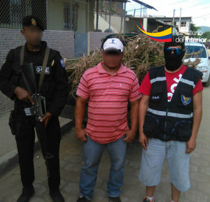 Ciudadano detenido durante operativo realizado en plantaciÃ³n de marihuana en el sector Santa Teresa de la parroquia San Isidro en el CantÃ³n Sucre
