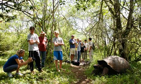 Cuatro maravillas que atraen de Galápagos