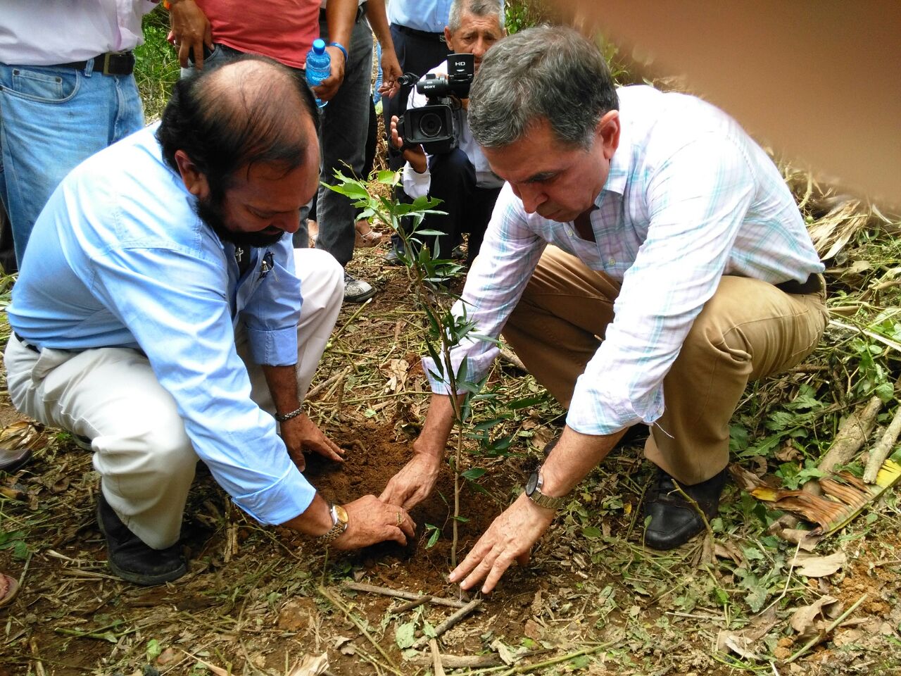 El Carmen: 8 mil plantas sembradas y se suman a las 700 a ya sembradas