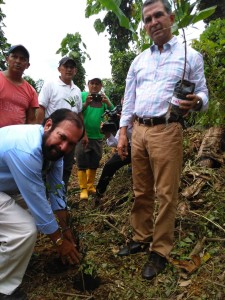 ReforestaciÃ³n El Carmen 3