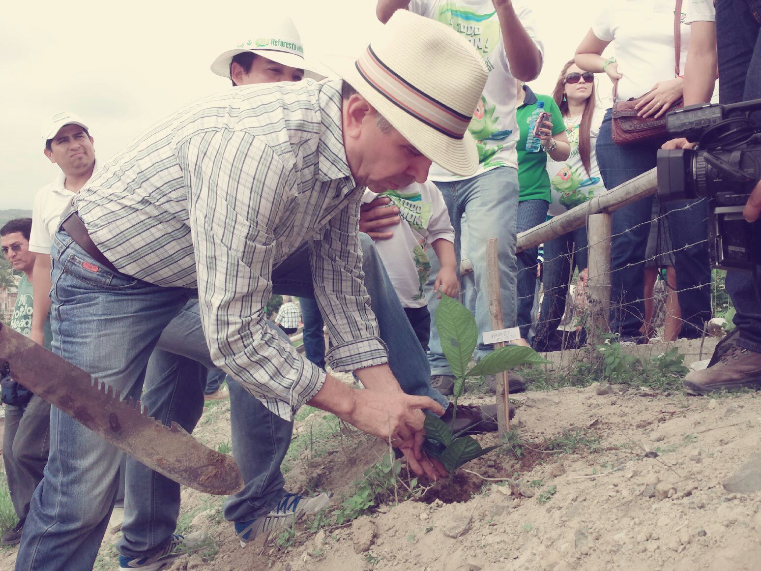 Cantones siguen reforestando  “A Todo Pulmón”