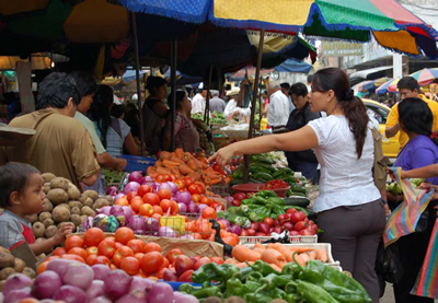 El ingreso familiar supera el costo de la canasta básica