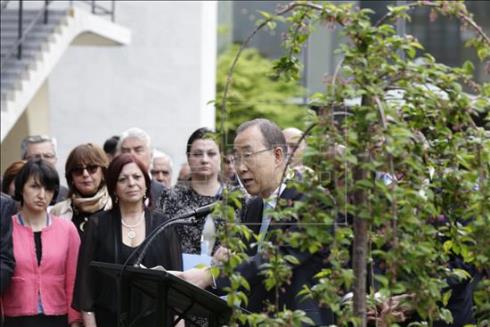 La ONU recordó el fin de la II Guerra Mundial con un árbol símbolo de la paz
