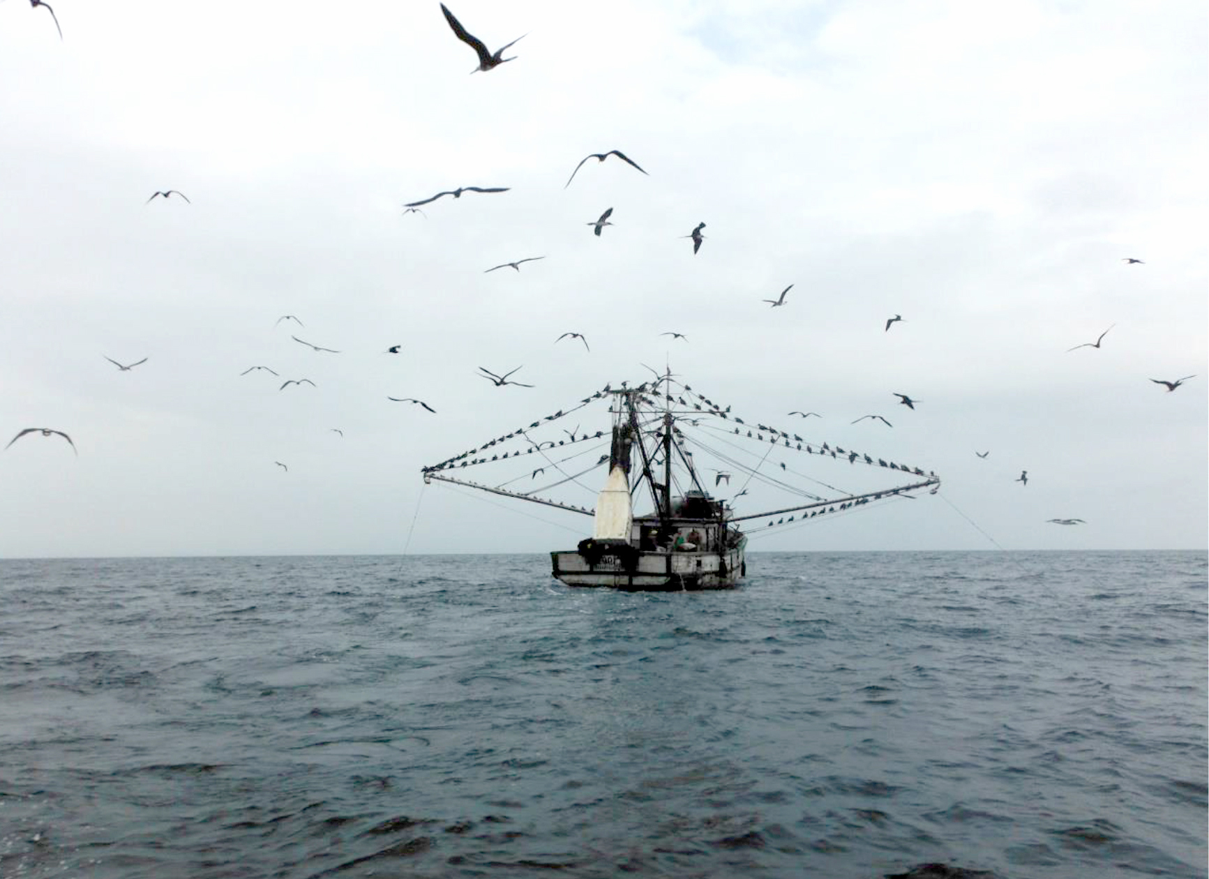 MAGAP realiza controles marítimos en Manabí