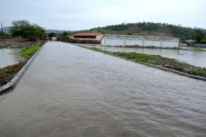 chone 2