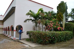 2 fumigación extradomiciliaria