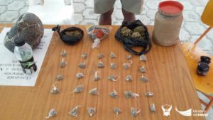 thumbnail_470-gramos-de-marihuana-fueron-aprehendidas-durante-operativo-antinarcoticos-en-pedernales-2